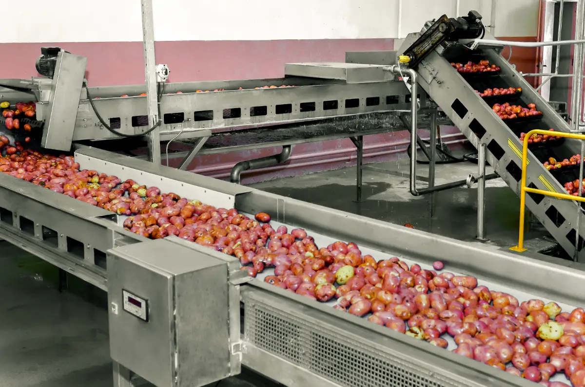 Para qué sirve la Cinta Transportadora: Descubre la Versatilidad y Eficiencia de la Industria Moderna