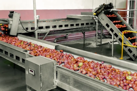 Para qué sirve la Cinta Transportadora: Descubre la Versatilidad y Eficiencia de la Industria Moderna