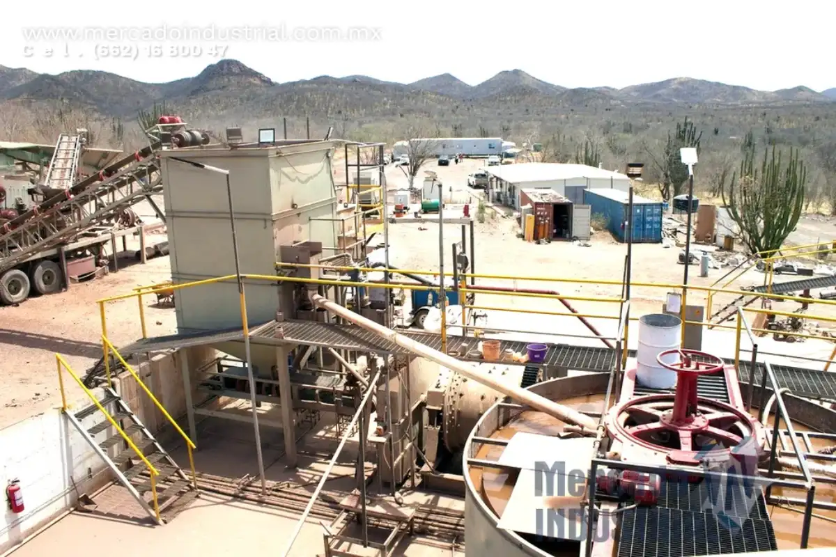 Que es una Banda Transportadora: Tipos, Aplicaciones y Consideraciones a tomar en cuenta