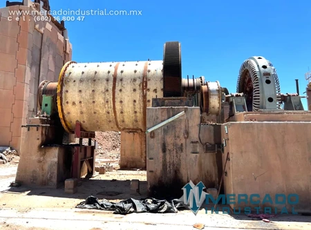 MOL-001-LV (12).webp