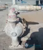 B-010-MTY NEWS (3).webp