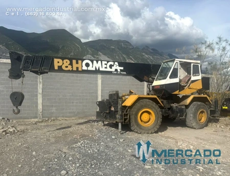 GRUA-005-MTY (1).webp