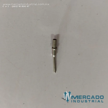 PS-2021 NEWS (1).webp