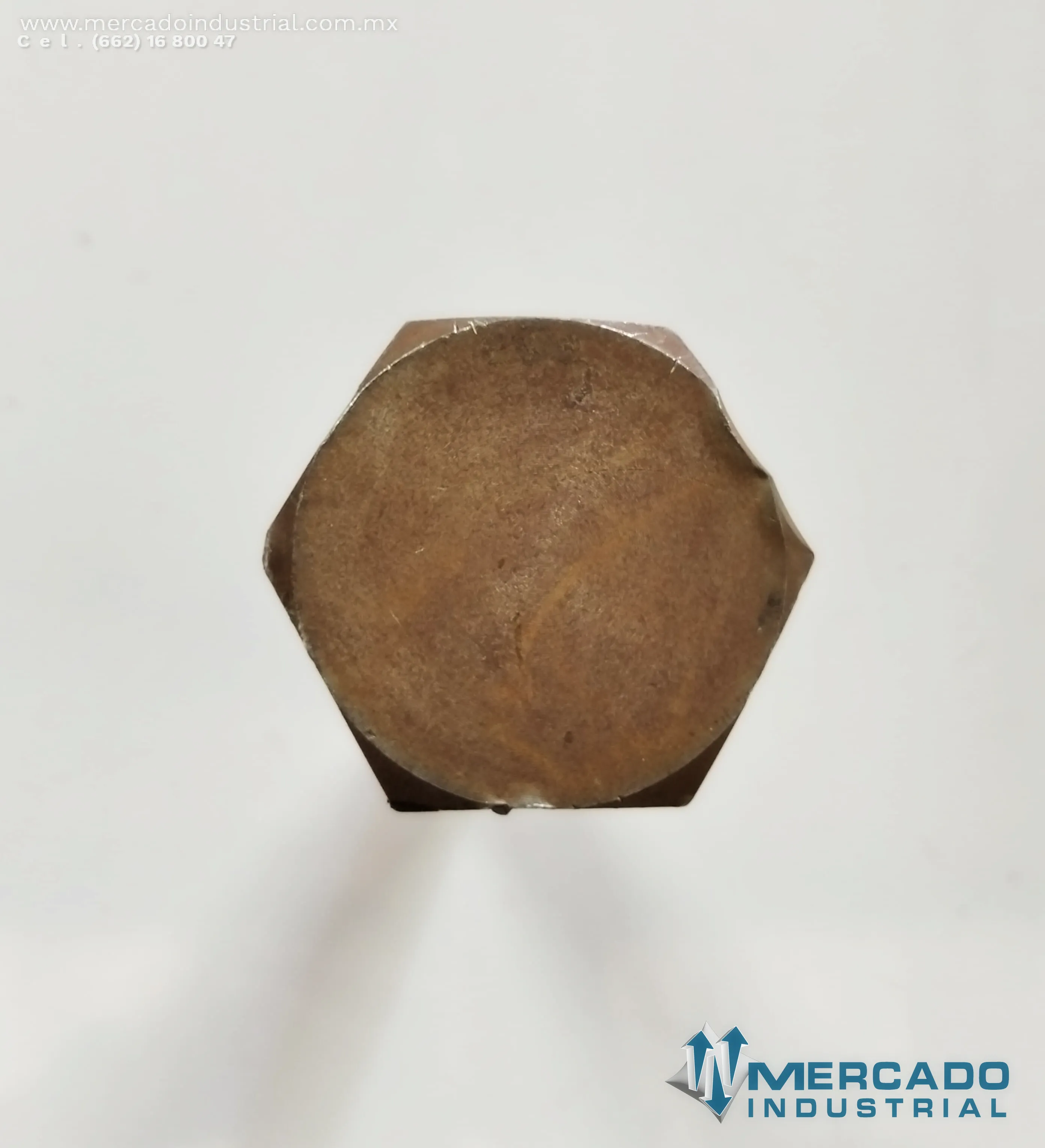 51788248 BOLT