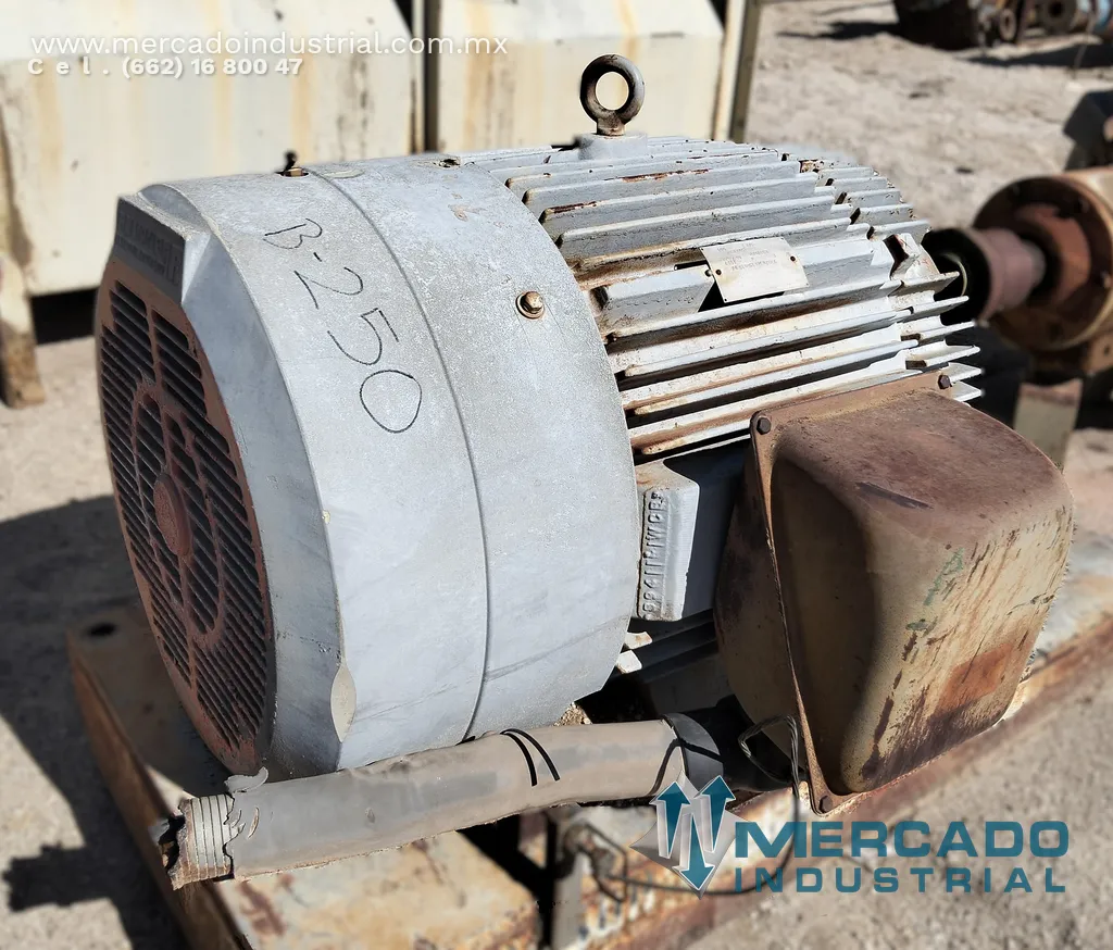Motor eléctrico 100 HP 4 polos 1770 RPM marca RELIANCE