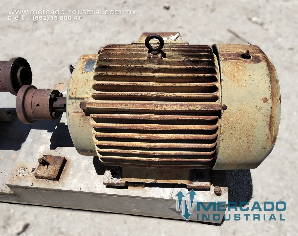 Motor eléctrico 30 HP 6 polos 1170 RPM marca RELIANCE