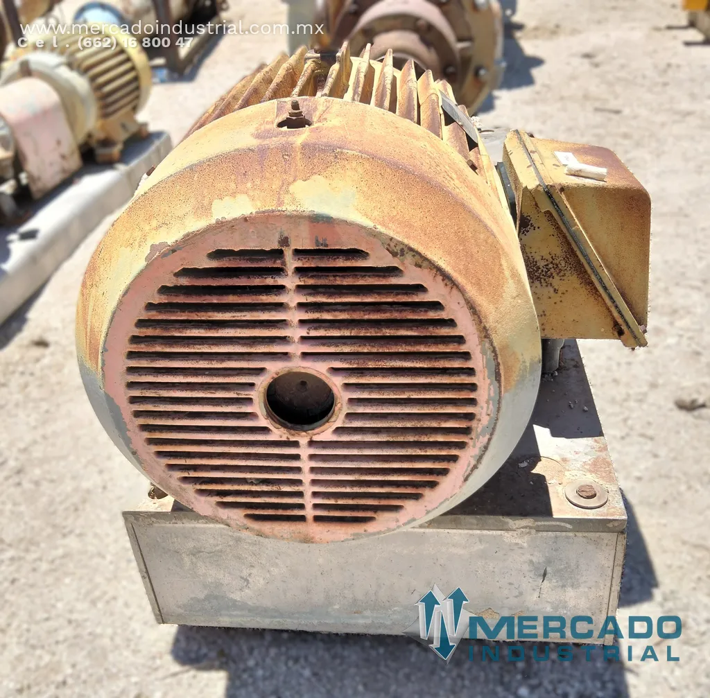 Motor eléctrico 30 HP 6 polos 1170 RPM marca RELIANCE