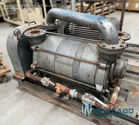 B-004-MTY NEWSS (2).webp