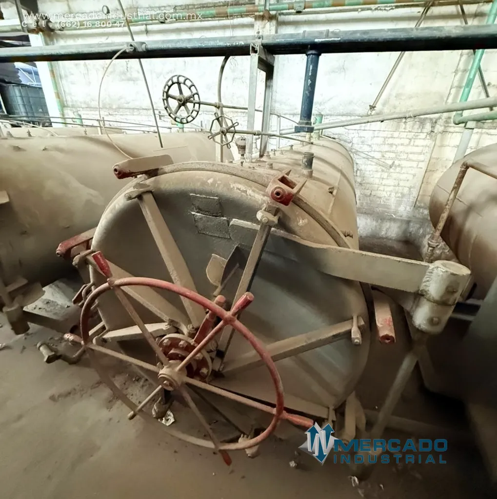 Autoclave 310" x 55"