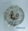 FIL-199_Filtros_2.webp