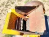 QQ-018_Quebradores-Trituradores_1.webp