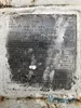 TAN-006-MTY (7).webp